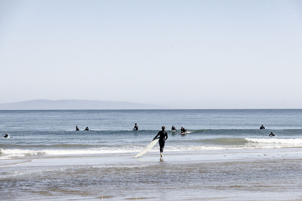 Malibu Surfers 2