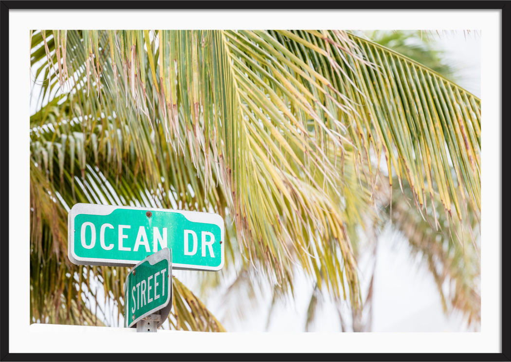 Ocean Drive